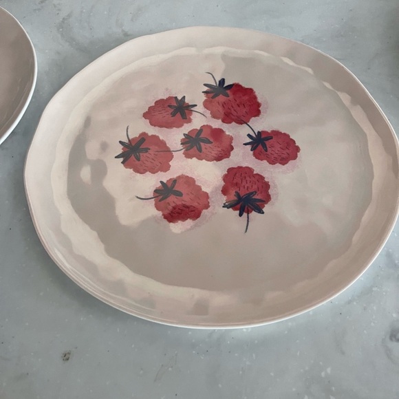 Melamine Plate Set: 8 - Picture 2 of 6
